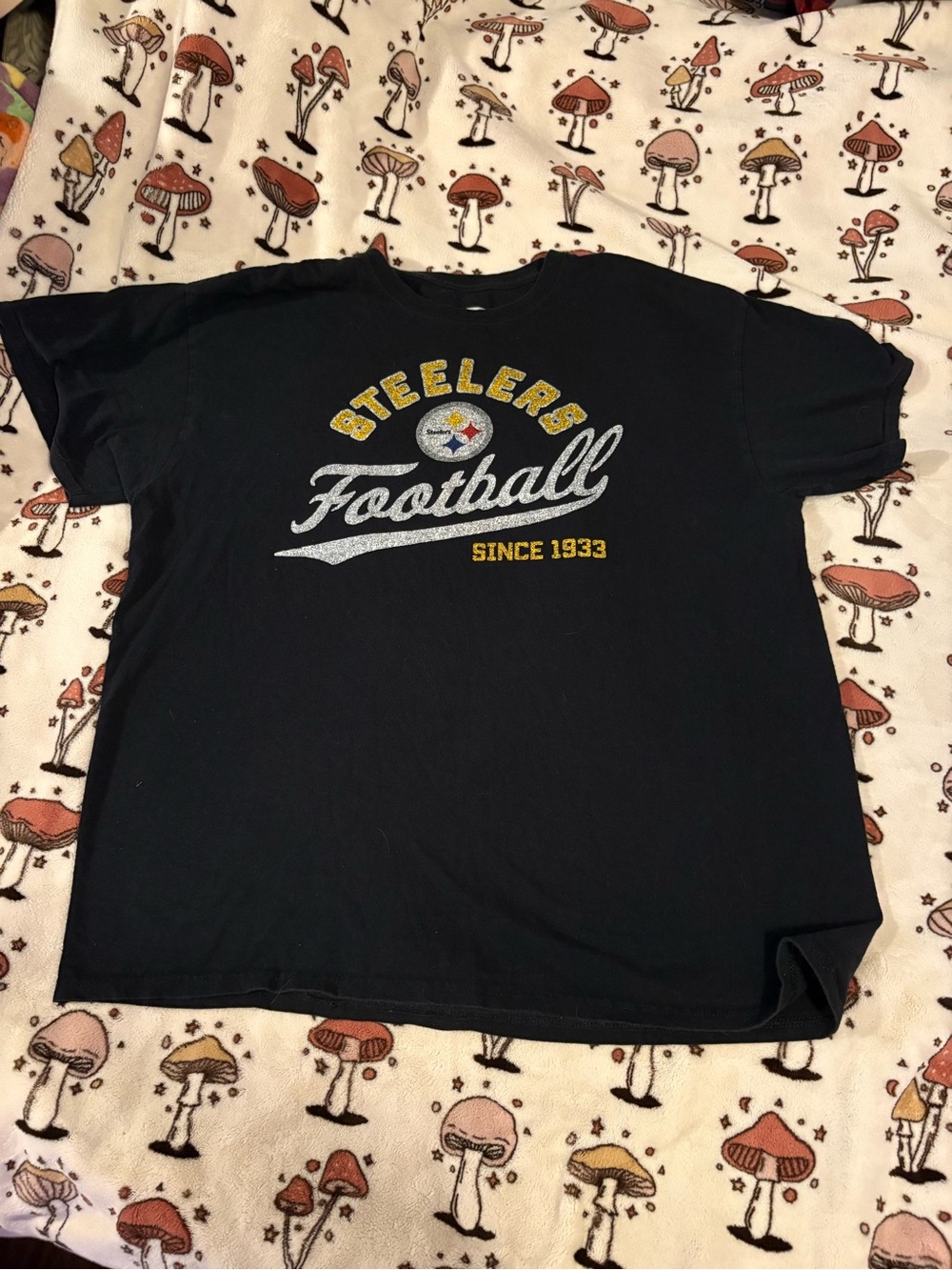 NFL Black Pittsburgh Steelers Football Short Sleeve Tee Size XL